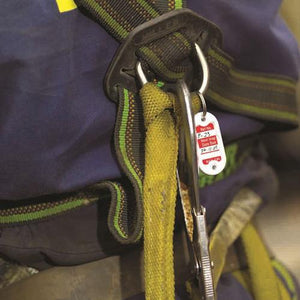Nanotag attached to harness