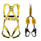 BIGBEN® Deluxe Harness Kit with 2m Fall Arrest Lanyard