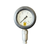 Replacement Gauge for BIGBEN Anchor Tester, 0-5Kn