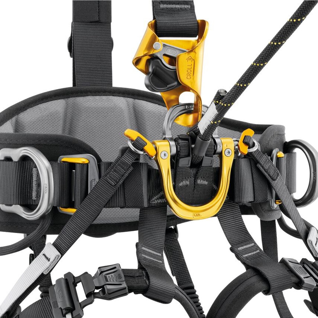 Petzl C083AB ASTRO® Full Body Harness, Black/Yellow