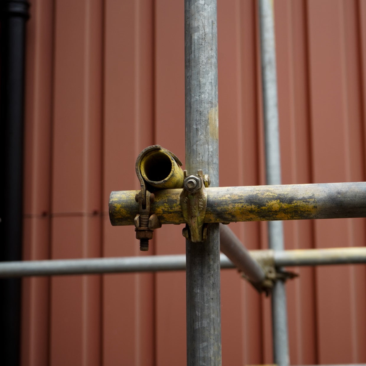 Dropped Forged Scaffold Single Coupler (25) | Scaffold Fittings