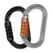 Petzl M33A OK Lightweight Oval TRIACT-LOCK Carabiner