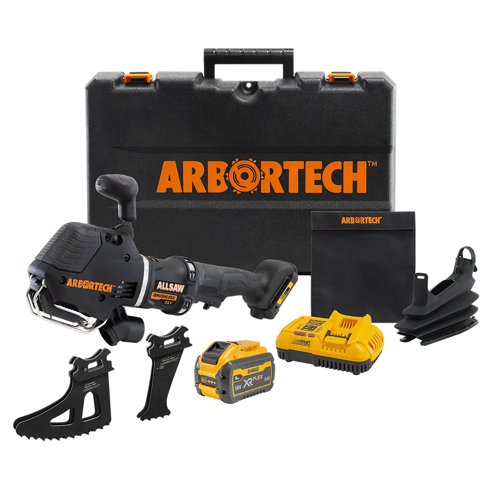 ALLSAW BA200X Cordless - Kit with Dewalt Battery