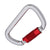 BIGBEN® Light Alloy Twistlock Carabiner with 24mm Opening