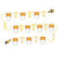 LED Festoon String Lights